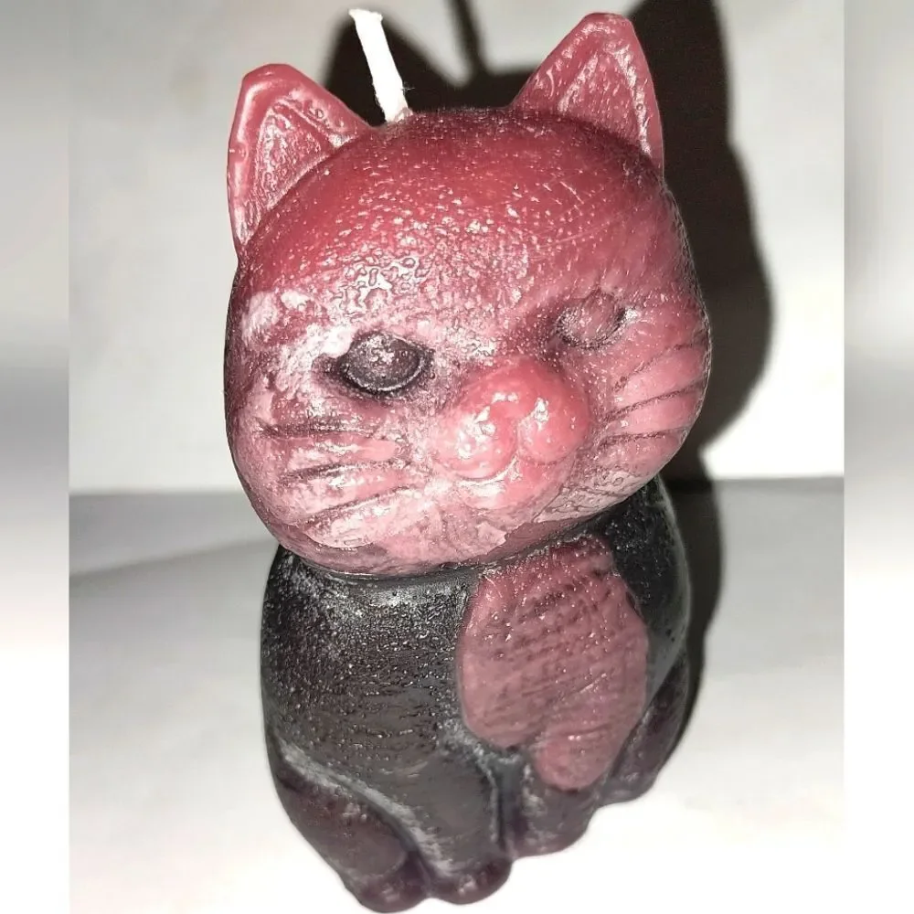 Hand crafted limited edition candle from our Cat Lady candle collection